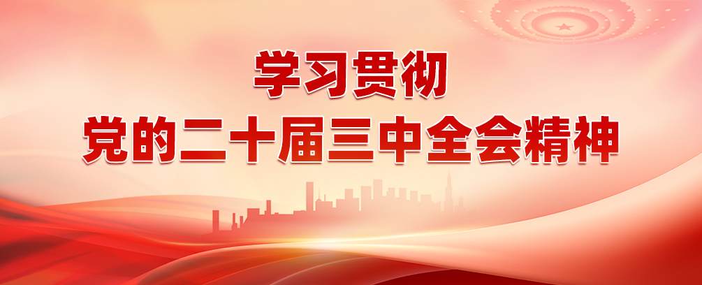 学习贯彻党的二十届三中全会精神